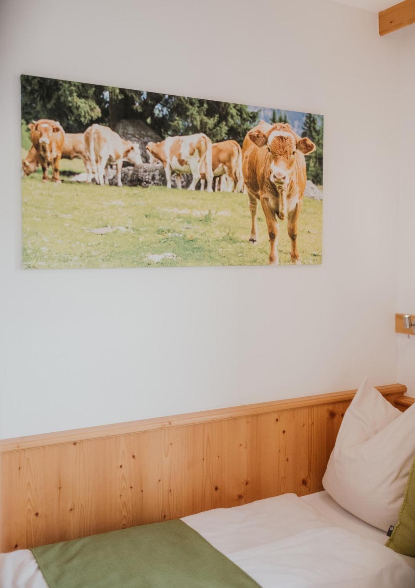 Hoferhof Familien-Abenteuer Hotel Schladming -Dachstein Exteriér fotografie